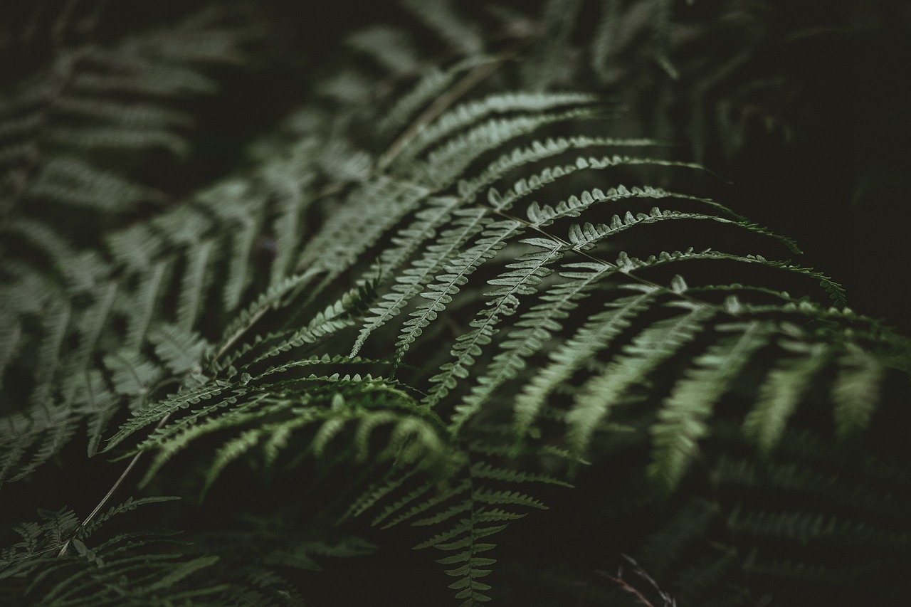 Addressing Common Misconceptions About Green Energy Solutions
